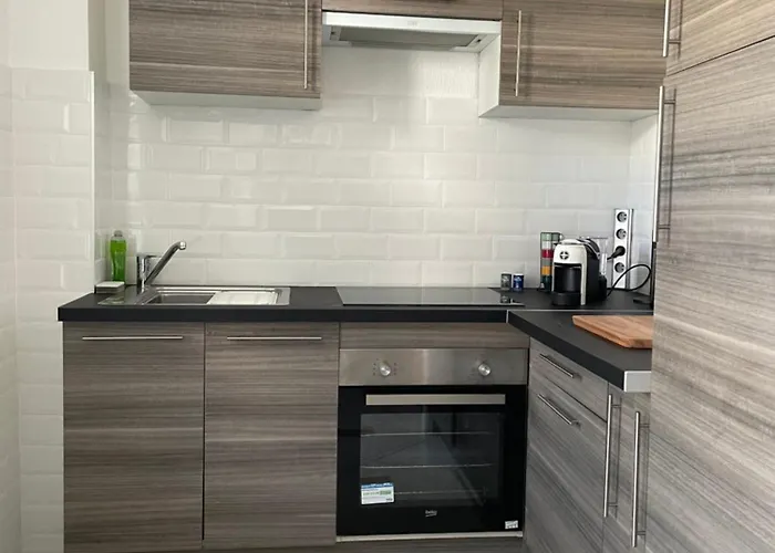 公寓 Cocooning 科尔马