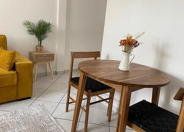 Cocooning * 科尔马